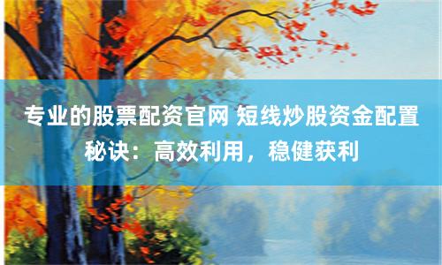 专业的股票配资官网 短线炒股资金配置秘诀：高效利用，稳健获利