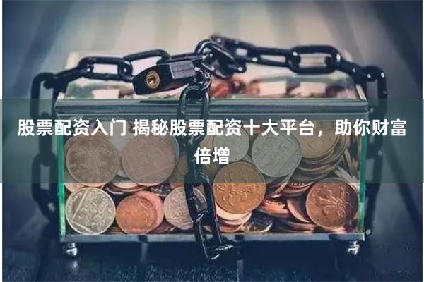 股票配资入门 揭秘股票配资十大平台，助你财富倍增